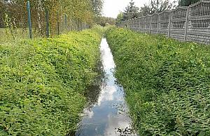 Skąd ten smród? Sprawdzili Kanał Henrykowski