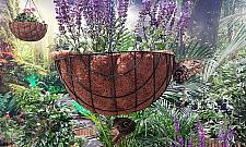 Motyle zapraszają. Jedyne takie miejsce w Warszawie