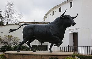 Budżet obywatelski, decyzja urzędnicza. "Pomysł nie jest dobry"