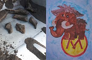 To nie był mamut. Odkrycie na budowie metra