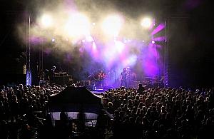 Huczne imprezy na terenie AWF. "Denerwują zwierzęta"