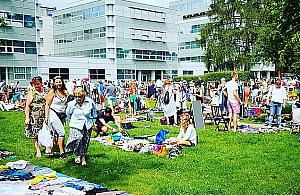 Pchli targ pod chmurką. Wielkie wietrzenie szaf