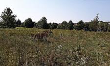 Market koło marketu. Powstanie nowy Lidl