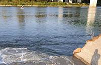 Ścieki płyną wprost do Wisły. "Katastrofa ekologiczna"