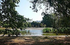 Park Szymańskiego: kontrowersyjnej inwestycji nie będzie