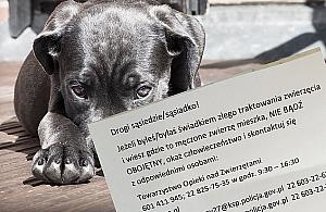 Słyszysz, że sąsiad źle traktuje psa? "Okaż człowieczeństwo i zgłoś"