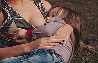 Komu służą altanki do karmienia? "Matki z dziećmi kryją się za drzewami"