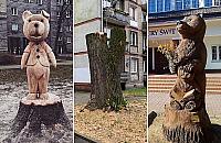 Zniknęła topola, będzie rzeźba. "Cudowny pomysł"