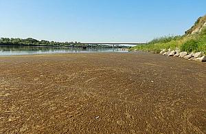 "Brązowy kożuch" na Wiśle. O awarii piszą nawet Szwedzi