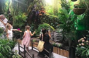 "Zrobiły furorę". 20 tys. osób odwiedziło motylarnię