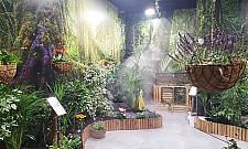 "Zrobiły furorę". 20 tys. osób odwiedziło motylarnię