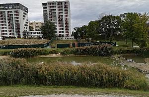 Glinianki Jelonek wysychają. "Aż przykro patrzeć"