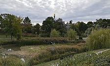 Glinianki Jelonek wysychają. "Aż przykro patrzeć"