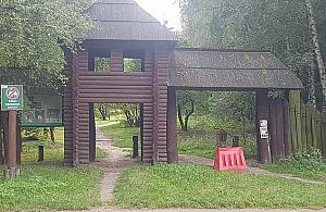 Piesi kontra kierowcy. Spór o Las Bródnowski