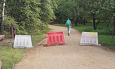 Piesi kontra kierowcy. Spór o Las Bródnowski