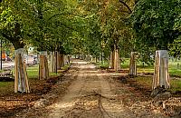 Alei Zjednoczenia już nie ma. Wielkie zmiany na Bielanach