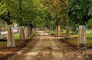 Alei Zjednoczenia już nie ma. Wielkie zmiany na Bielanach