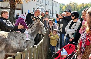 Rodzinny piknik w Lesie Bielańskim. Mnóstwo atrakcji