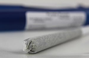 Nastolatkowie przyłapani z marihuaną. "Odpowiedzą jak dorośli"