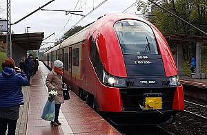 SKM nie kursuje. Powód: przewrócone drzewo