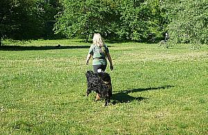 Przed sąd za psią kupę. Warszawa walczy o czyste trawniki