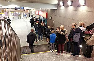 Za czym ta kolejka? "Połowa przyszła niepotrzebnie"