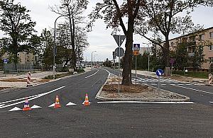 Drzewo na środku ulicy. "Kto to wymyślił?"