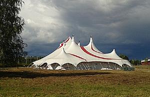 Cyrk przyjechał. "Majestatyczny pokaz wielbłądów"