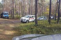 Grzybiarze gubią się w lasach. Na pomoc ruszają konie i psy tropiące