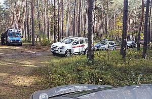 Grzybiarze gubią się w lasach. Na pomoc ruszają konie i psy tropiące