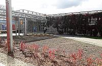 Jak wytresować pasażera? Absurd na Młocinach