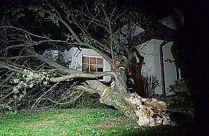 Drzewo runęło na dom. Śmiertelnie groźna sytuacja
