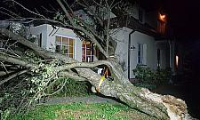 Drzewo runęło na dom. Śmiertelnie groźna sytuacja