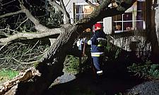 Drzewo runęło na dom. Śmiertelnie groźna sytuacja