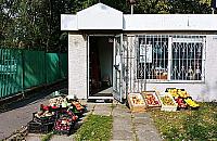 Akcja dla lokalnego warzywniaka. "Niech każdy kupi kilogram jabłek"