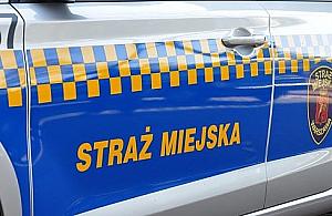 Straż miejska złapała wagarowicza. Stanie przed sądem
