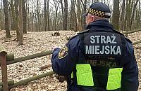 Sprostowanie do artykułu "Straż miejska złapała wagarowicza. Stanie przed sądem"