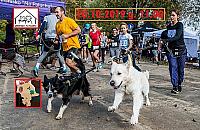 Warszawa pobiegnie dla Palucha. Run Hau w niedziel�