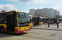 Agresywne zaczepki na pętli. "Wbiłbym Ci kosę"