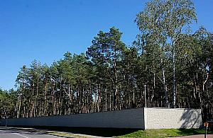 Postawił mur i tnie las. "Jesteśmy poruszeni samowolą"