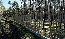 Postawił mur i tnie las. "Jesteśmy poruszeni samowolą"