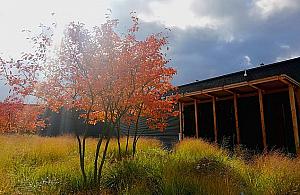 Zima coraz bliżej. Co z tężnią?