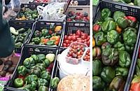 Warzywa i owoce za darmo. Piątki na Wolumenie