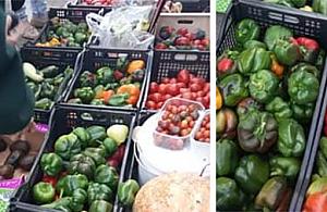 Warzywa i owoce za darmo. Piątki na Wolumenie