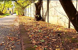 Marysin pożegna szpetny mur. Sąsiedzka akcja