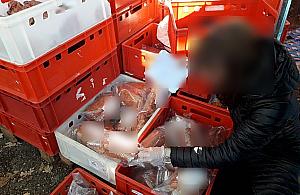 Nalot na Olimpię. Przeterminowane mięso, lewe papierosy