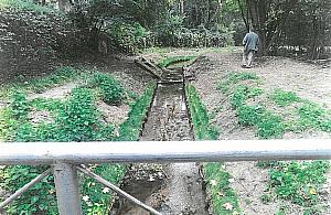 Zanieczyszczony Kanał Wawerski. "Zgodnie z pozwoleniem"