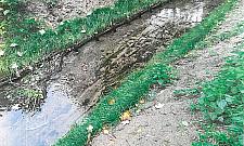 Zanieczyszczony Kanał Wawerski. "Zgodnie z pozwoleniem"