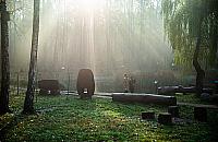 Posadzili drzewa w lesie. Mi�dzynarodowa akcja w Wawrze