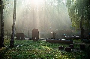 Posadzili drzewa w lesie. Międzynarodowa akcja w Wawrze